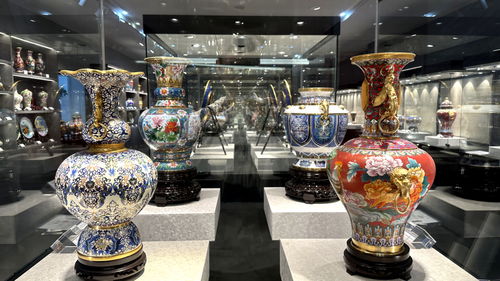 非遺技藝 智慧家居 運河文化,在這里共繪發展新篇